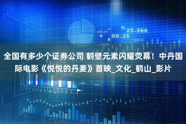 全国有多少个证券公司 鹤壁元素闪耀荧幕！中丹国际电影《悦悦的丹麦》首映_文化_鹤山_影片