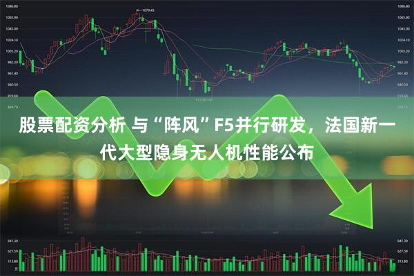 股票配资分析 与“阵风”F5并行研发，法国新一代大型隐身无人机性能公布