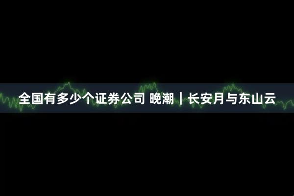 全国有多少个证券公司 晚潮｜长安月与东山云